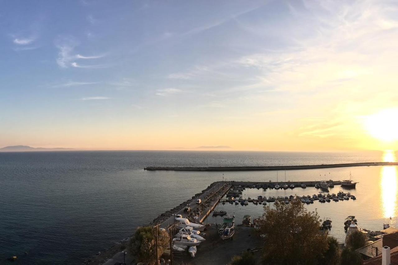 Plomari - Seafari Apartment Zewnętrze zdjęcie